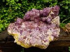 Natural Dark Purple Amethyst Quartz Cluster x 1 From Boekenhouthoek, South Africa