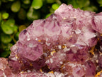 Natural Dark Purple Amethyst Quartz Cluster x 1 From Boekenhouthoek, South Africa