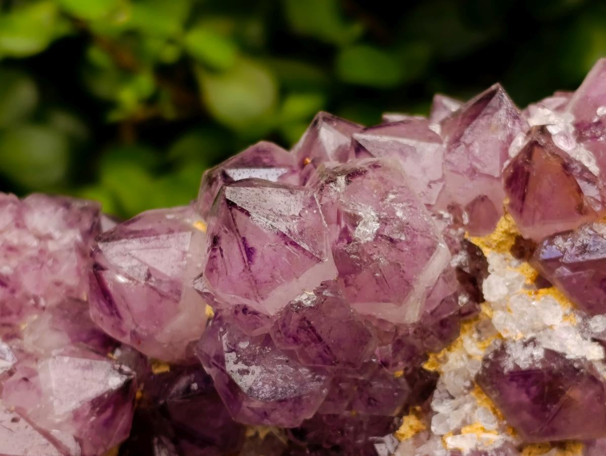 Natural Dark Purple Amethyst Quartz Cluster x 1 From Boekenhouthoek, South Africa