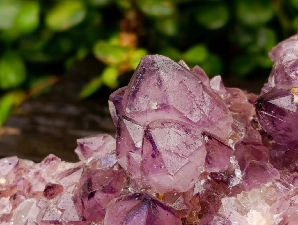 Natural Dark Purple Amethyst Quartz Cluster x 1 From Boekenhouthoek, South Africa