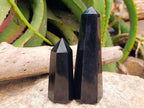 Polished Black Basalt Display Crystals x 12 From Madagascar