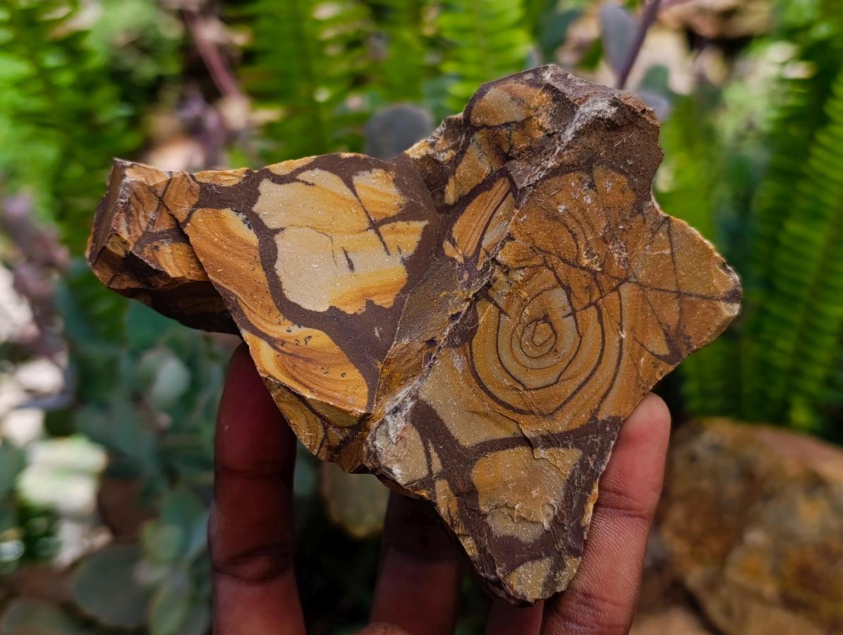 Natural Nguni Jasper Cobbed Specimens x 12 From Northern Cape, South Africa