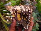 Natural Nguni Jasper Cobbed Specimens x 12 From Northern Cape, South Africa
