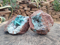 Natural Drusy Coated Chrysocolla Specimens x 2 From Lupoto Mine, Congo