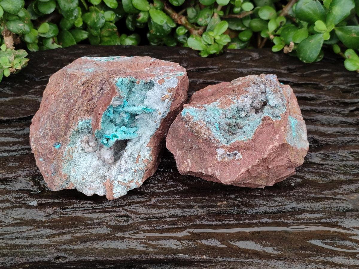 Natural Drusy Coated Chrysocolla Specimens x 2 From Lupoto Mine, Congo