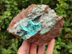 Natural Drusy Coated Chrysocolla Specimens x 2 From Lupoto Mine, Congo