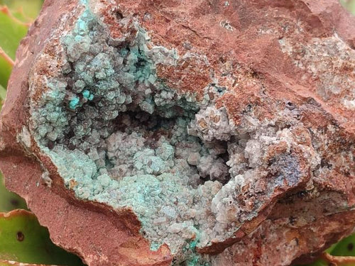 Natural Drusy Coated Chrysocolla Specimens x 2 From Lupoto Mine, Congo - Toprock Gemstones and Minerals 