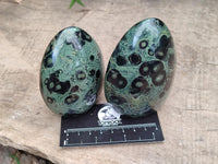 Polished Stromatolite Standing Free Forms x 6 From Katsepy, Madagascar