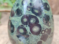 Polished Stromatolite Standing Free Forms x 6 From Katsepy, Madagascar