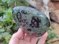 Polished Stromatolite Standing Free Forms x 6 From Katsepy, Madagascar