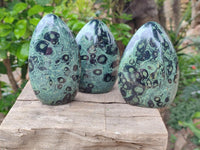 Polished Stromatolite Standing Free Forms x 6 From Katsepy, Madagascar