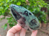 Polished Stromatolite Standing Free Forms x 6 From Katsepy, Madagascar