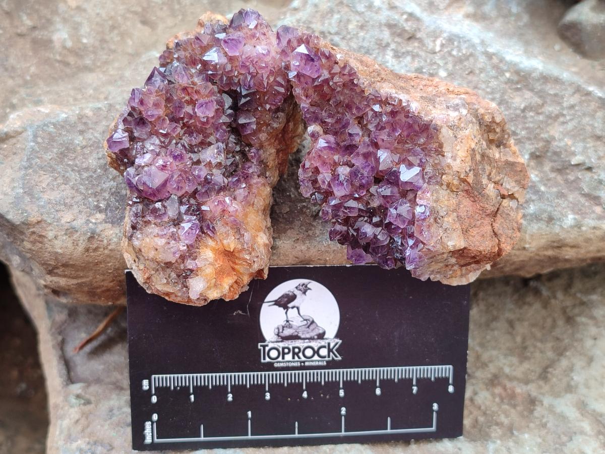 Natural Dark Purple Amethyst Quartz Crystal Plates x 12 From Boekenhouthoek, South Africa