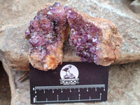 Natural Dark Purple Amethyst Quartz Crystal Plates x 12 From Boekenhouthoek, South Africa