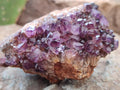 Natural Dark Purple Amethyst Quartz Crystal Plates x 12 From Boekenhouthoek, South Africa