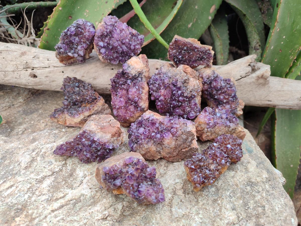 Natural Dark Purple Amethyst Quartz Crystal Plates x 12 From Boekenhouthoek, South Africa