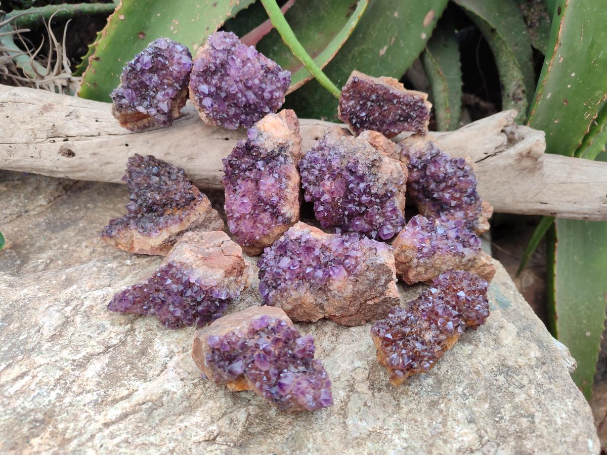Natural Dark Purple Amethyst Quartz Crystal Plates x 12 From Boekenhouthoek, South Africa