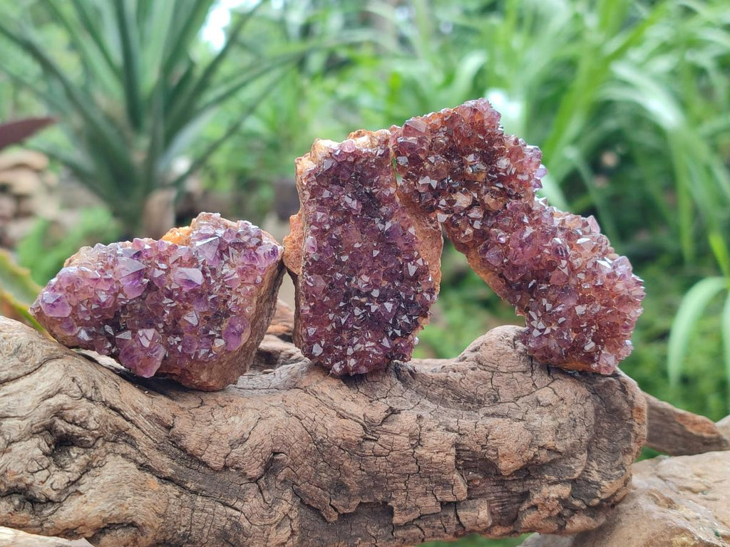 Natural Dark Purple Amethyst Quartz Crystal Plates x 12 From Boekenhouthoek, South Africa