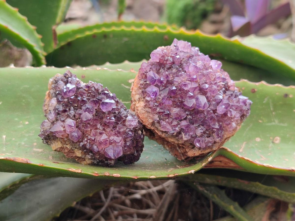 Natural Dark Purple Amethyst Quartz Crystal Plates x 12 From Boekenhouthoek, South Africa