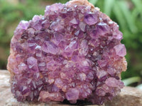 Natural Dark Purple Amethyst Quartz Crystal Plates x 12 From Boekenhouthoek, South Africa