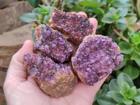 Natural Dark Purple Amethyst Quartz Crystal Plates x 12 From Boekenhouthoek, South Africa