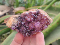 Natural Dark Purple Amethyst Quartz Crystal Plates x 12 From Boekenhouthoek, South Africa