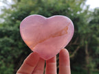 Polished Star Rose Quartz Hearts x 6 From Madagascar