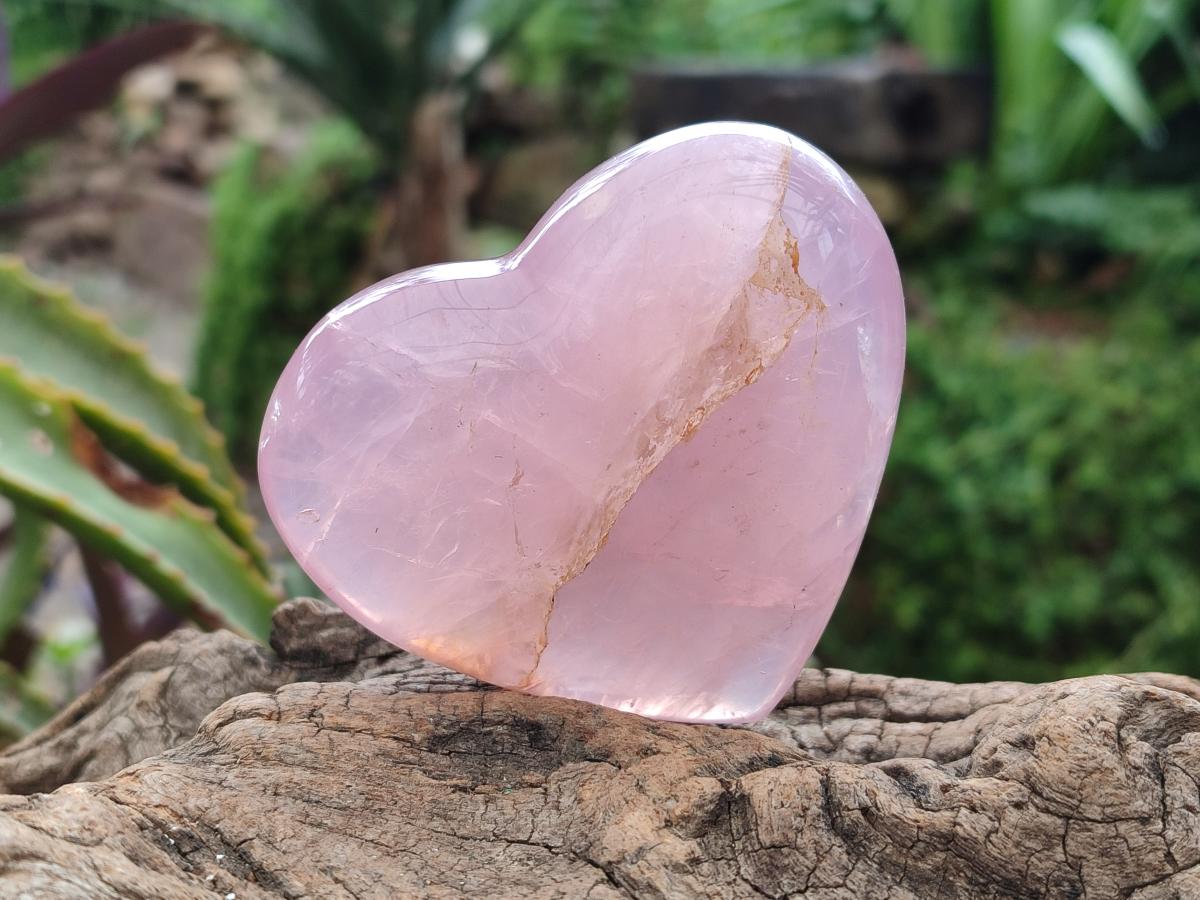 Polished Star Rose Quartz Hearts x 6 From Madagascar