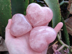 Polished Star Rose Quartz Hearts x 6 From Madagascar