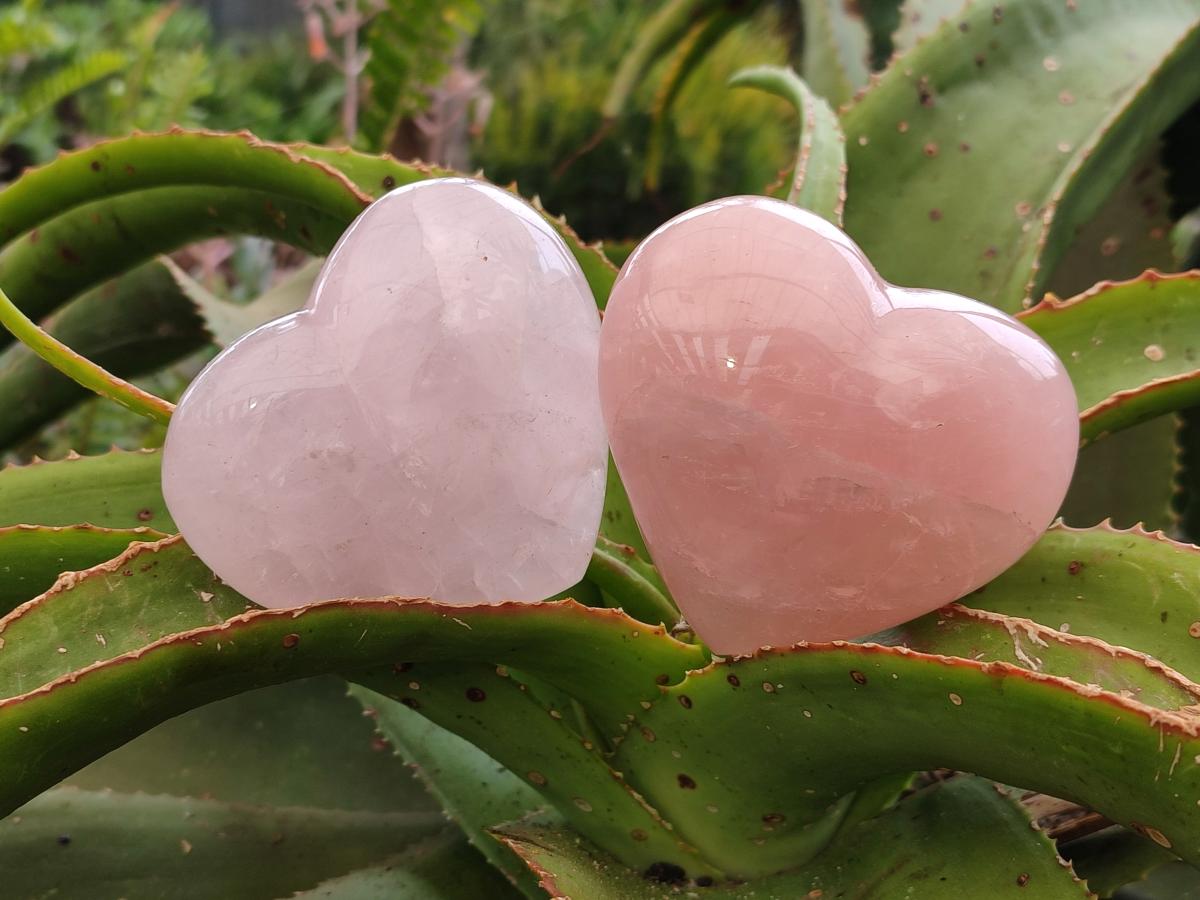 Polished Star Rose Quartz Hearts x 6 From Madagascar