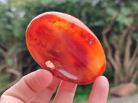 Polished Small Carnelian Agate Gemstone Bowls x 6 From Madagascar