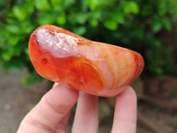 Polished Small Carnelian Agate Gemstone Bowls x 6 From Madagascar