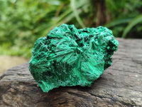 Natural Silky Malachite Specimens x 12 From Kasompe, Congo