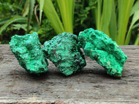 Natural Silky Malachite Specimens x 12 From Kasompe, Congo
