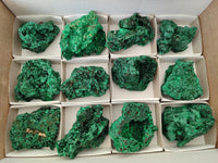 Natural Silky Malachite Specimens x 12 From Kasompe, Congo