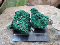 Natural Silky Malachite Specimens x 12 From Kasompe, Congo