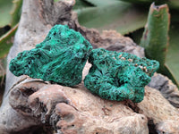 Natural Silky Malachite Specimens x 12 From Kasompe, Congo