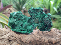 Natural Silky Malachite Specimens x 12 From Kasompe, Congo