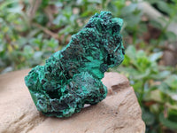 Natural Silky Malachite Specimens x 12 From Kasompe, Congo