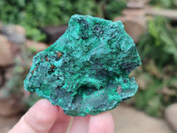 Natural Silky Malachite Specimens x 12 From Kasompe, Congo