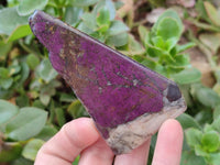 Polished On One Side Metallic Purpurite Pieces x 6 From Namibia