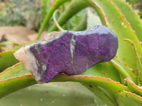 Polished On One Side Metallic Purpurite Pieces x 6 From Namibia