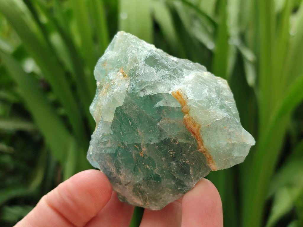 Natural Watermelon Fluorite Cobbed Specimens x 24 From Uis, Namibia