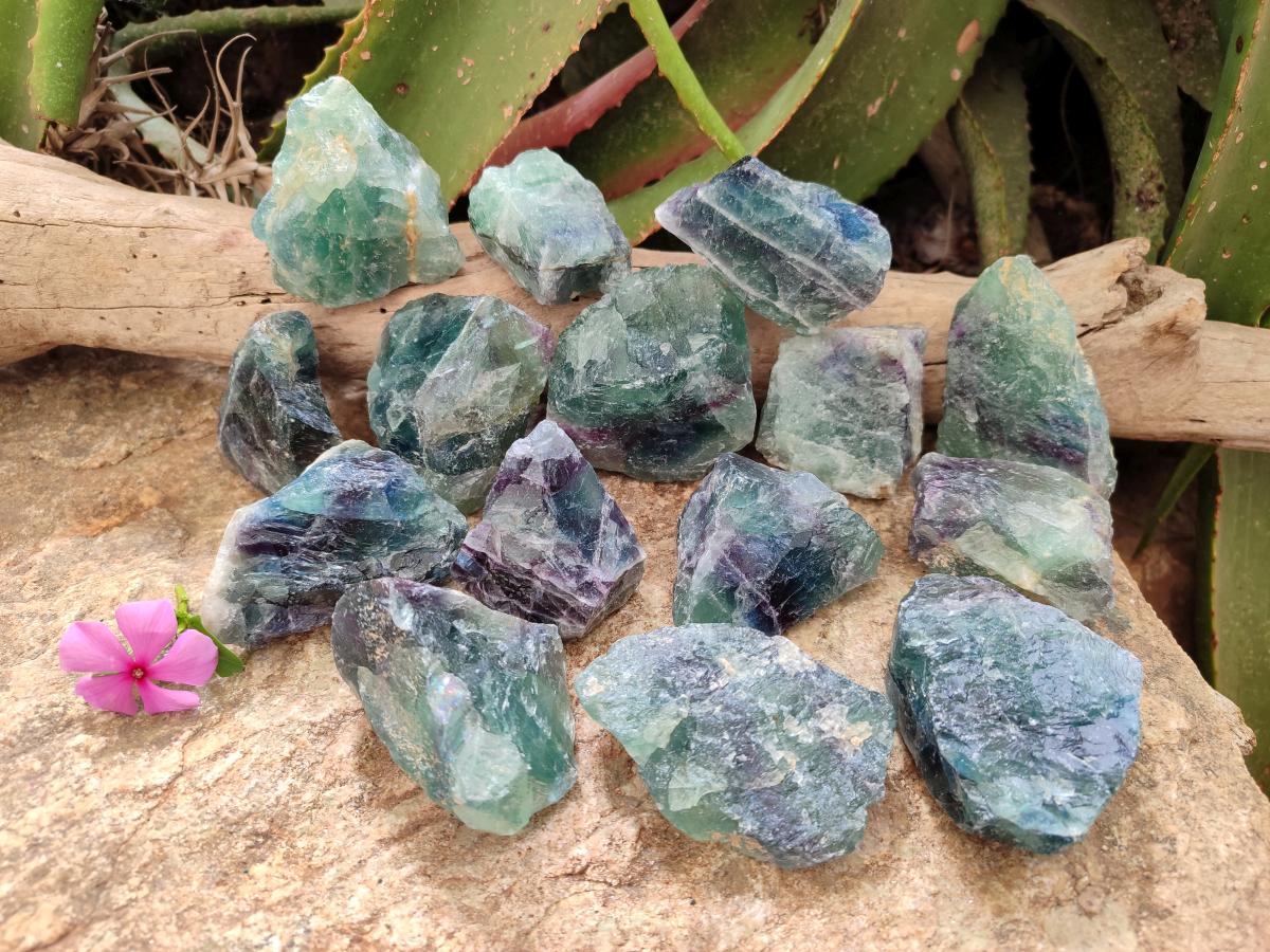 Natural Watermelon Fluorite Cobbed Specimens x 24 From Uis, Namibia
