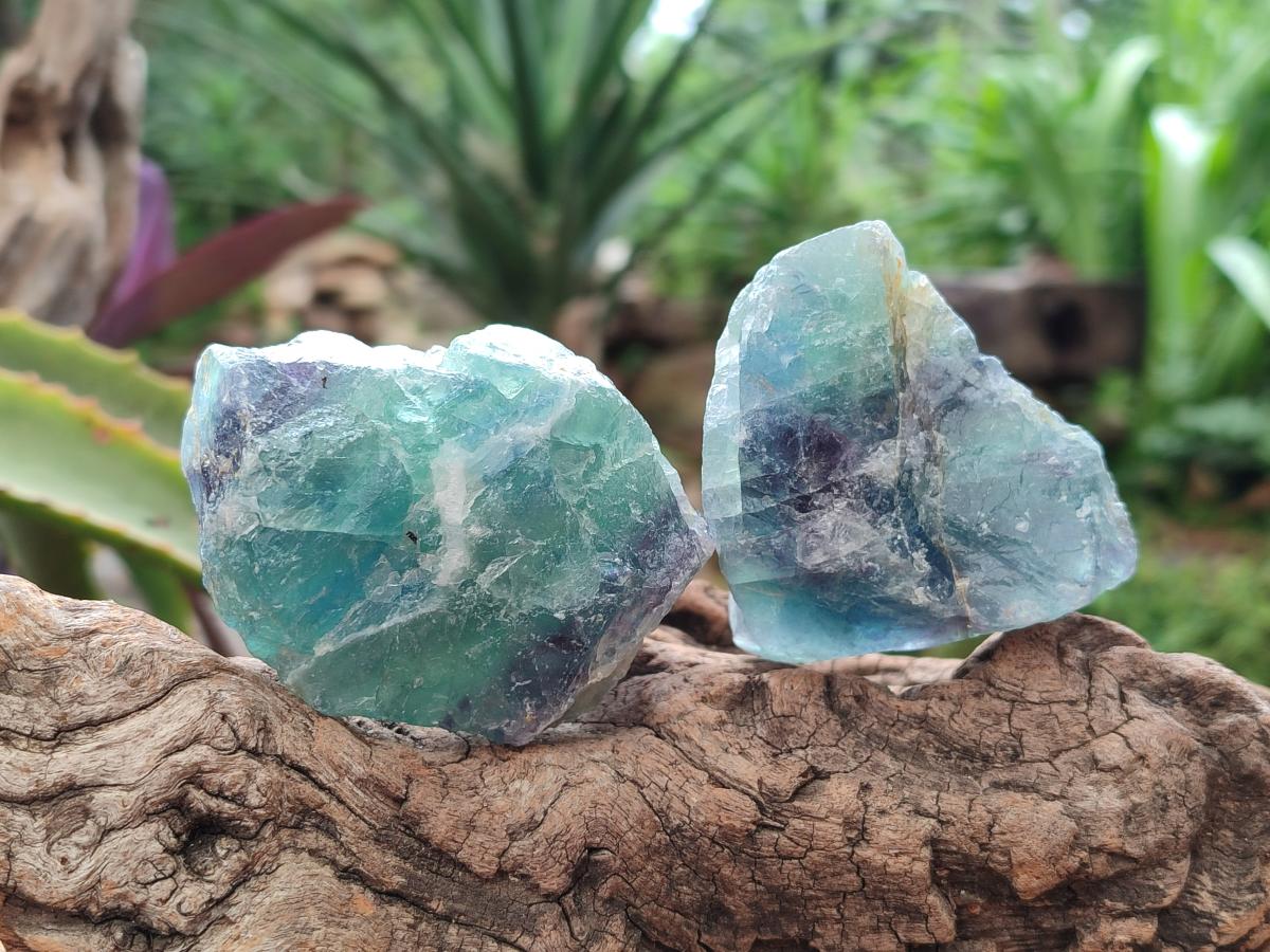 Natural Watermelon Fluorite Cobbed Specimens x 24 From Uis, Namibia