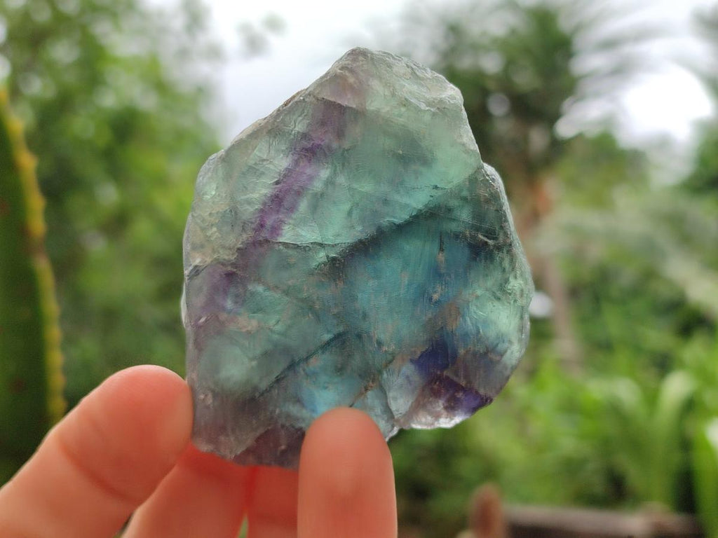 Natural Watermelon Fluorite Cobbed Specimens x 24 From Uis, Namibia