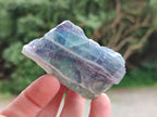 Natural Watermelon Fluorite Cobbed Specimens x 24 From Uis, Namibia