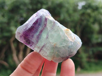 Natural Watermelon Fluorite Cobbed Specimens x 24 From Uis, Namibia