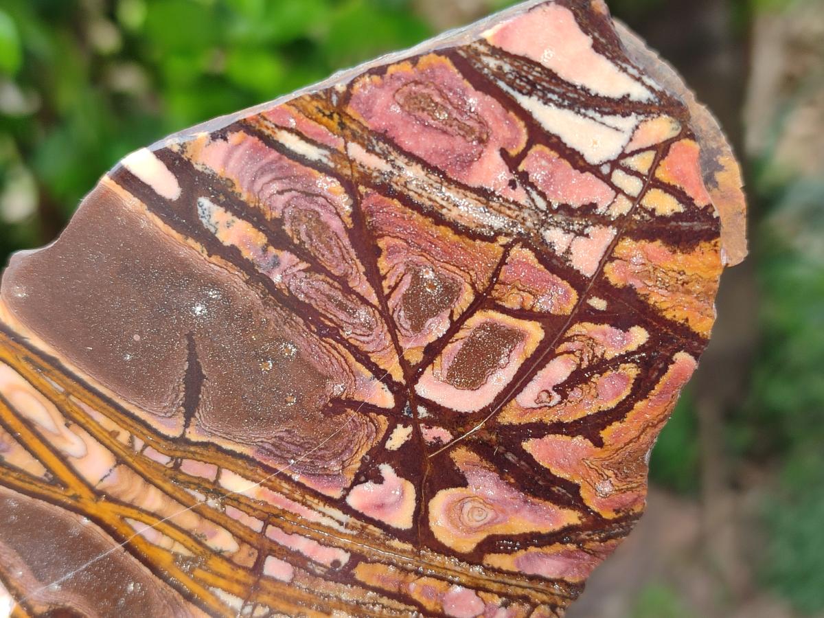 Polished On One Side Nguni and Jupiter Jasper x 3 From Northern Cape, South Africa