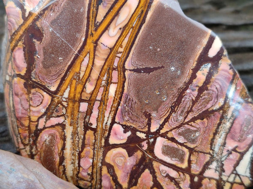 Polished On One Side Nguni and Jupiter Jasper x 3 From Northern Cape, South Africa